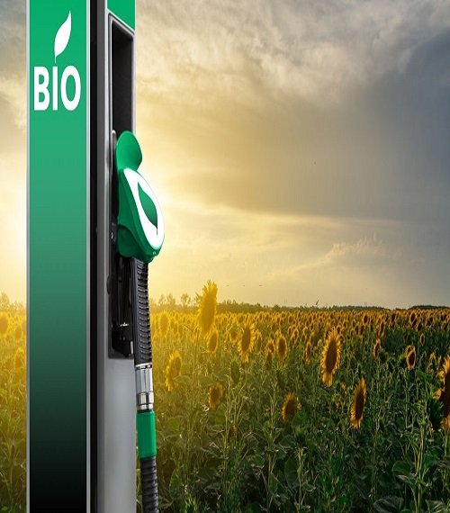 biofuel Pump