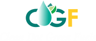 cleandotgreen footer logo