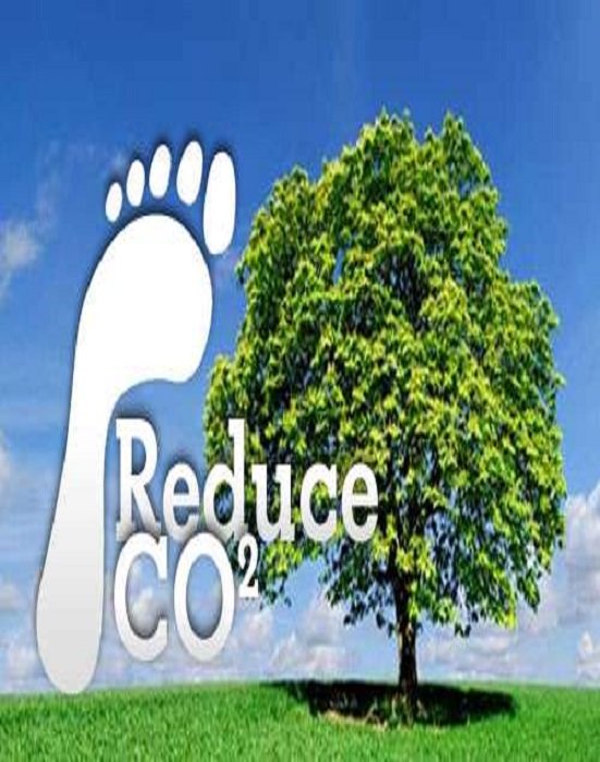 Biodiesel reduce Co2 Emission